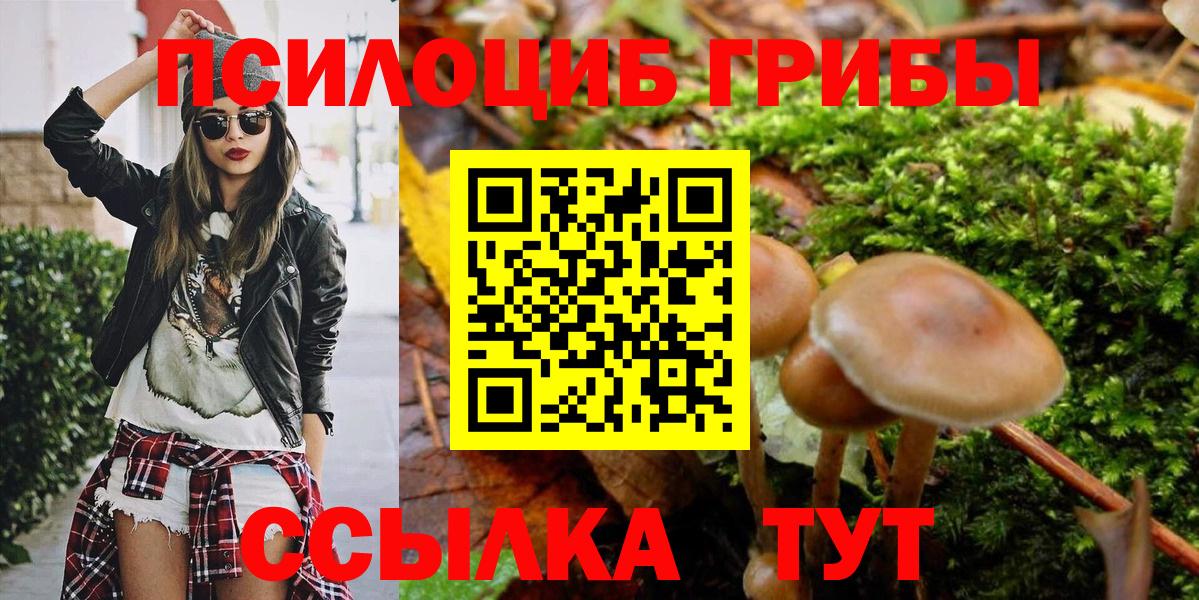Галлюциногенные грибы MAGIC MUSHROOMS  Вход с VPN  Псилоцибиновые грибы Cubensis  Трёхгорный 